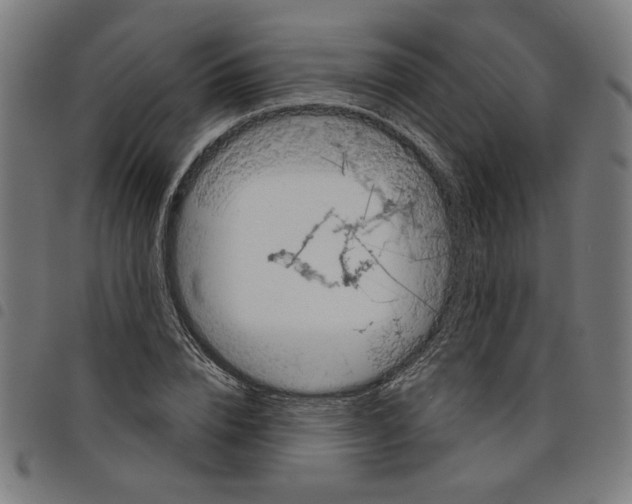 X0000098050832200804251102