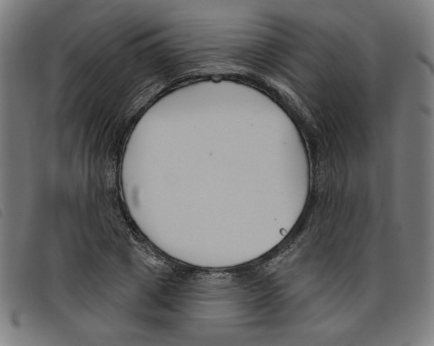 X0000098050833200804251102