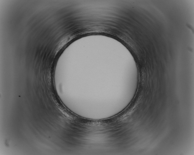 X0000098050834200804251102