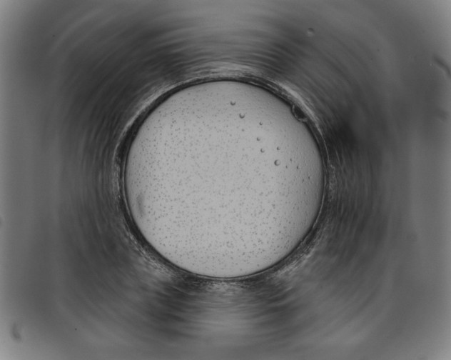 X0000098050835200804251102