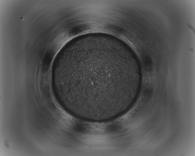 X0000098050836200804251102