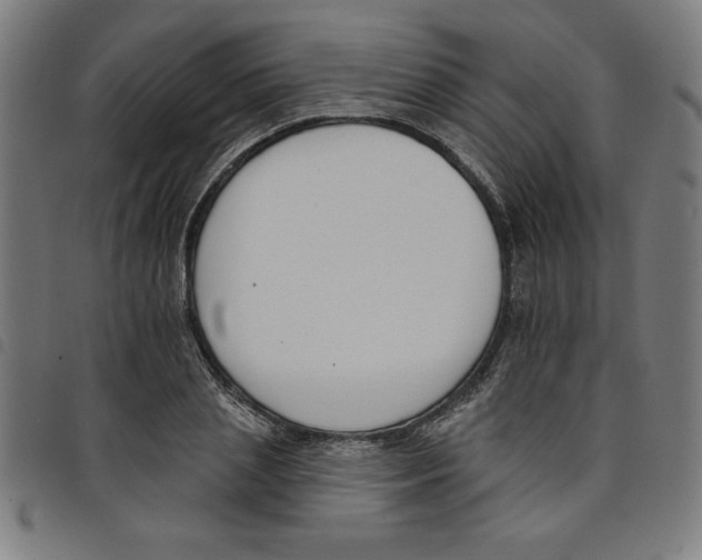 X0000098050837200804251102