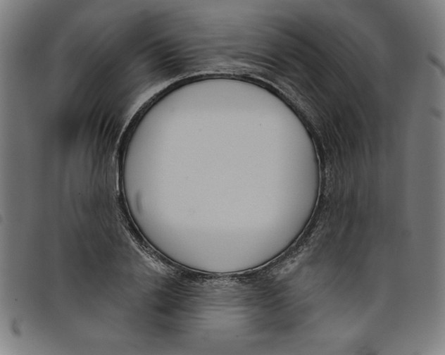 X0000098050838200804251102