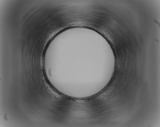 X0000098050839200804251102