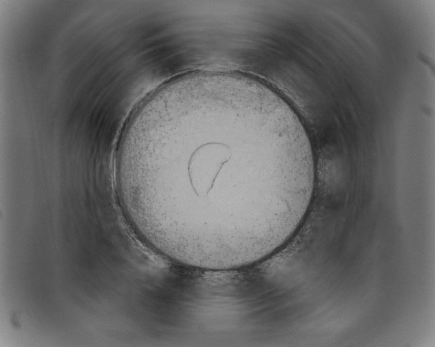 X0000098050840200804251102