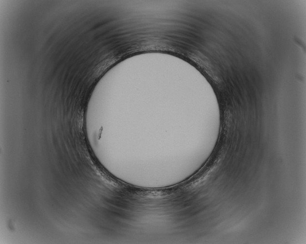 X0000098050841200804251102