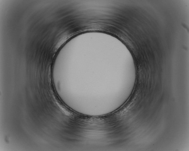 X0000098050842200804251102