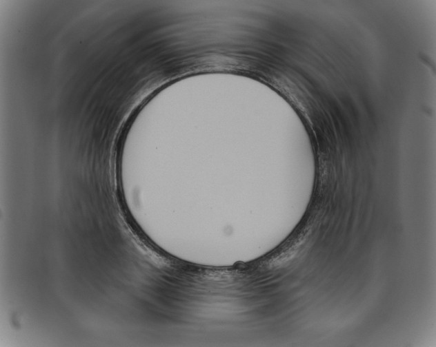 X0000098050843200804251102