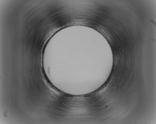 X0000098050844200804251102