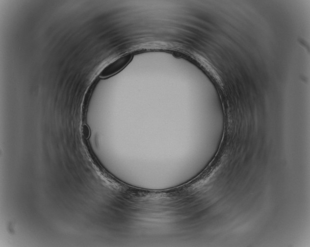 X0000098050845200804251102