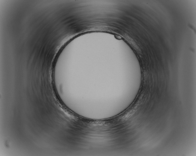 X0000098050846200804251102