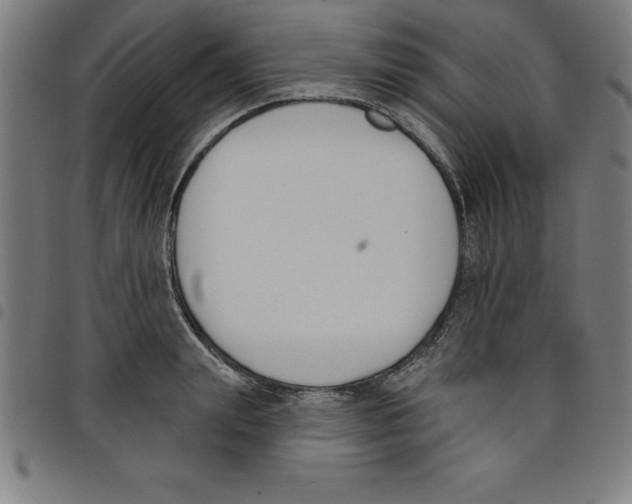 X0000098050847200804251102