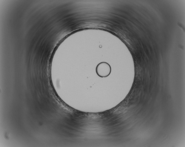 X0000098050848200804251102