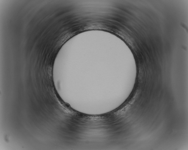 X0000098050849200804251102