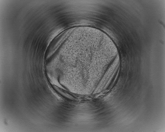 X0000098050850200804251102