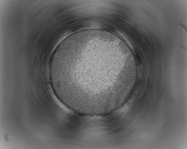 X0000098050851200804251102