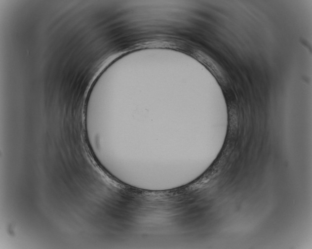 X0000098050852200804251102