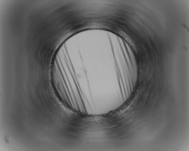 X0000098050853200804251102