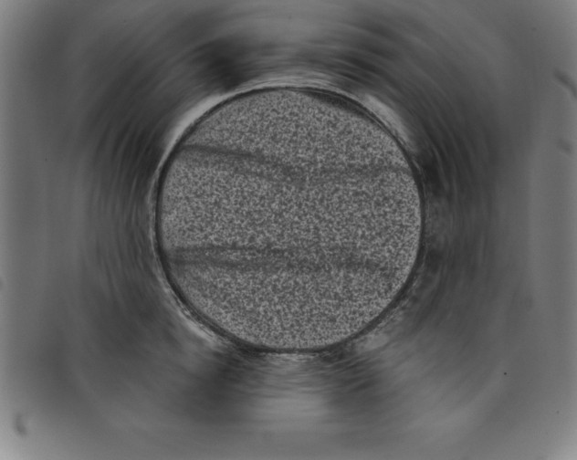 X0000098050854200804251102