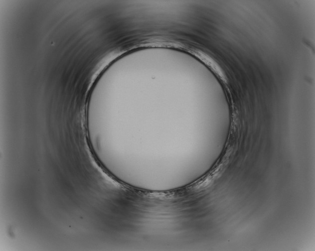 X0000098050855200804251102