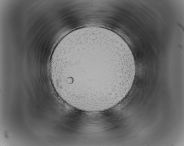 X0000098050856200804251102