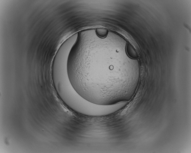 X0000098050858200804251102