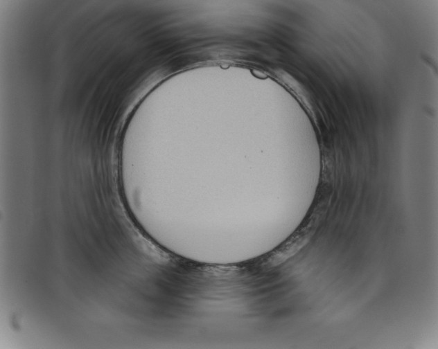 X0000098050859200804251102