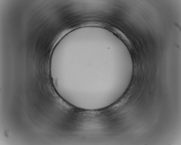 X0000098050860200804251102