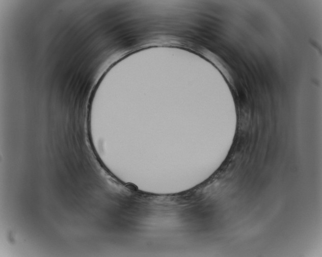 X0000098050861200804251102