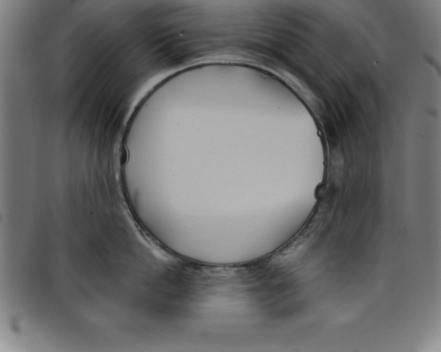 X0000098050862200804251102