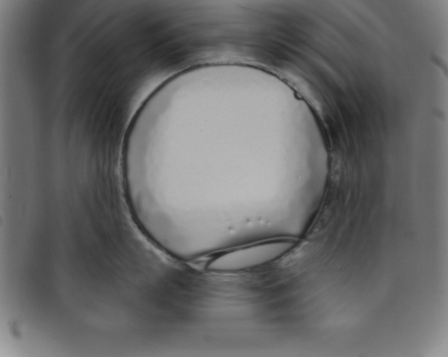 X0000098050863200804251102