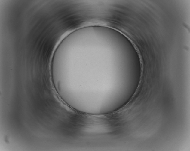 X0000098050864200804251102