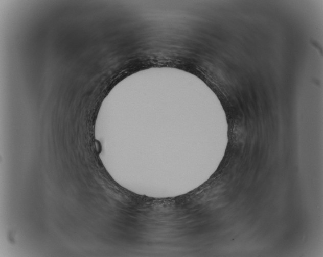 X0000098050865200804251101