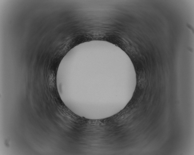 X0000098050866200804251101