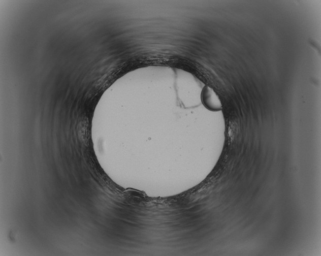 X0000098050867200804251101