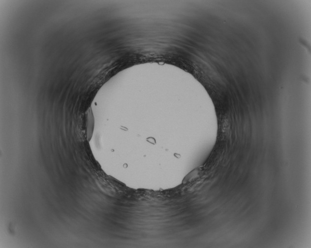 X0000098050868200804251101