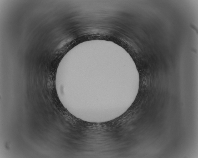 X0000098050869200804251101