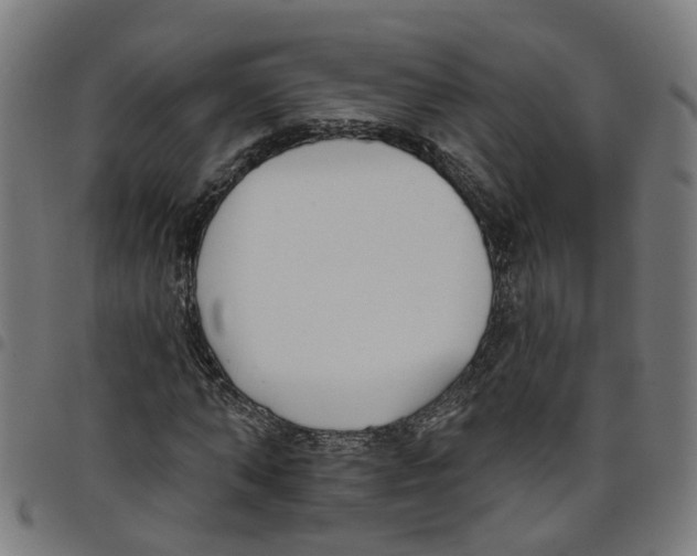 X0000098050870200804251101