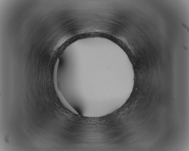 X0000098050871200804251101