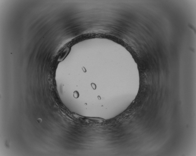 X0000098050872200804251101