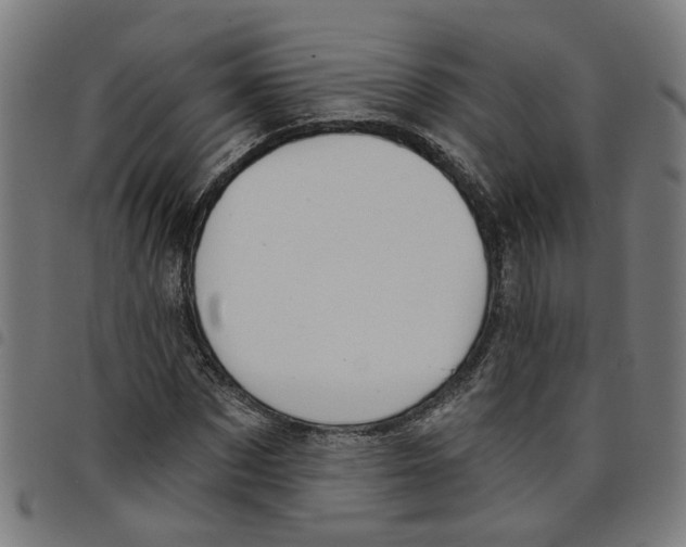 X0000098050873200804251101