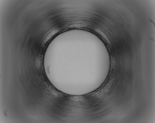 X0000098050874200804251101