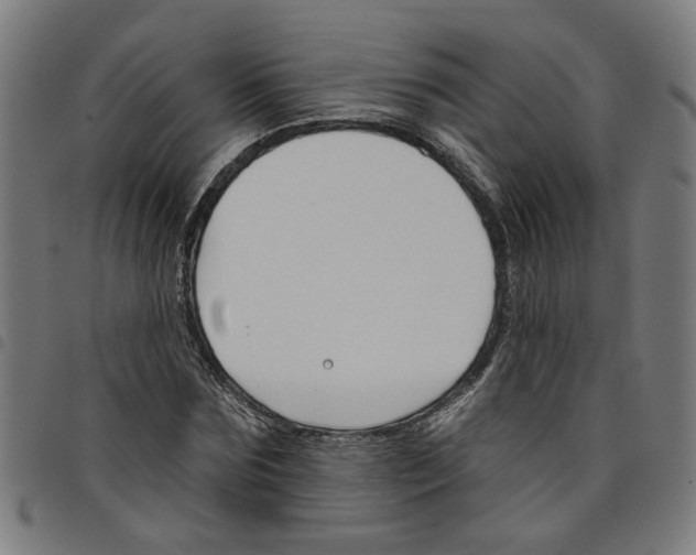 X0000098050875200804251101