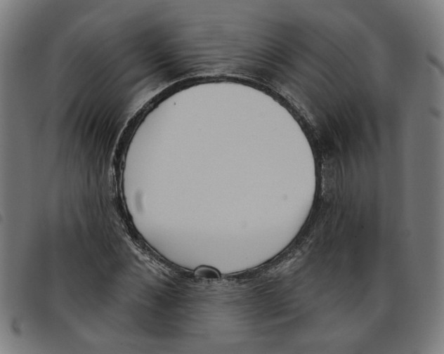 X0000098050876200804251101