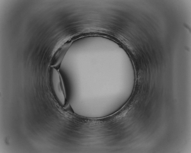 X0000098050877200804251101