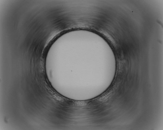 X0000098050878200804251101