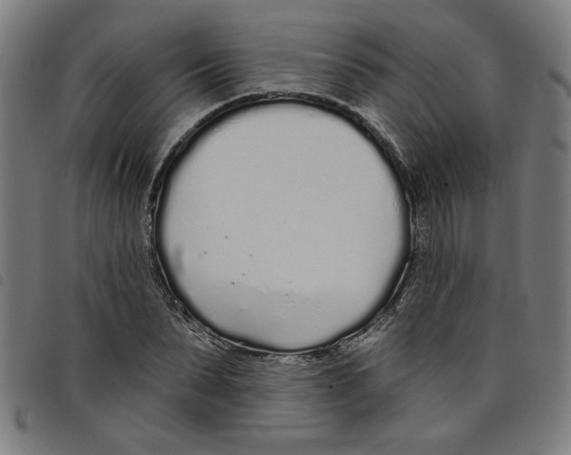 X0000098050879200804251101