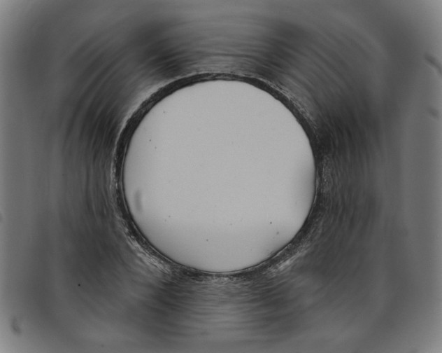 X0000098050880200804251101