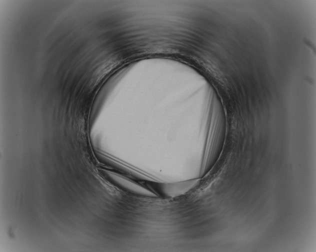 X0000098050881200804251101