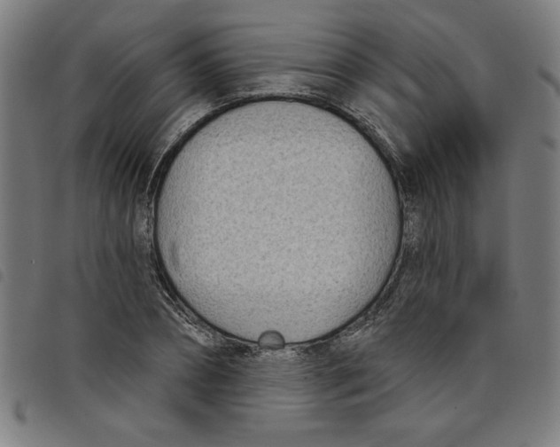 X0000098050882200804251101